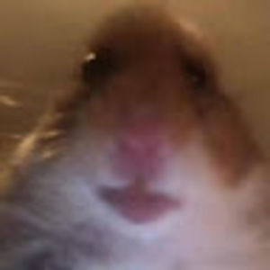 Meet your Posher, Evan